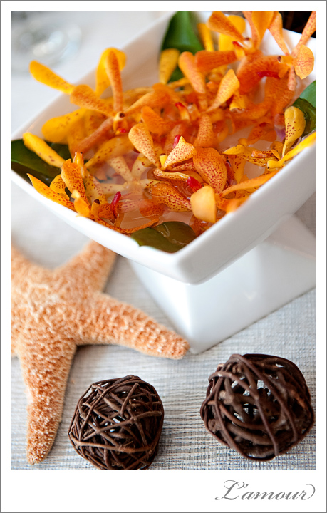 Hawaii_Wedding_Photographer_DIY_blog