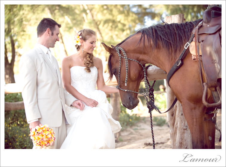 Bride and Groom With a Horse at their Turtle Bay Destination wedding in Hawaii