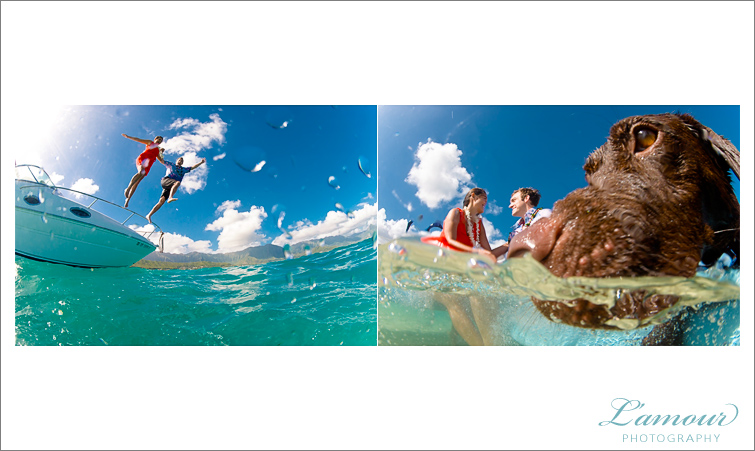 Hawaii Underwater Photography and Oahu Wedding Photography