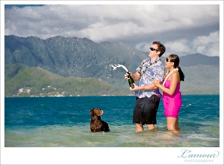 Hawaii Wedding Photography and Underwater Photos by Lamour