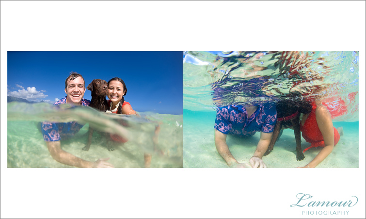 Underwater photos in hawaii weddings on oahu